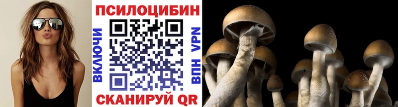 Псилоцибиновые грибы Cubensis блэк спрут tor Аткарск